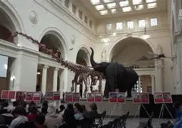 赛艇夜战：渝州天虎队淘汰对手庐州霹雳队，临门一脚致胜目标直指冠军(手枪队演员表)