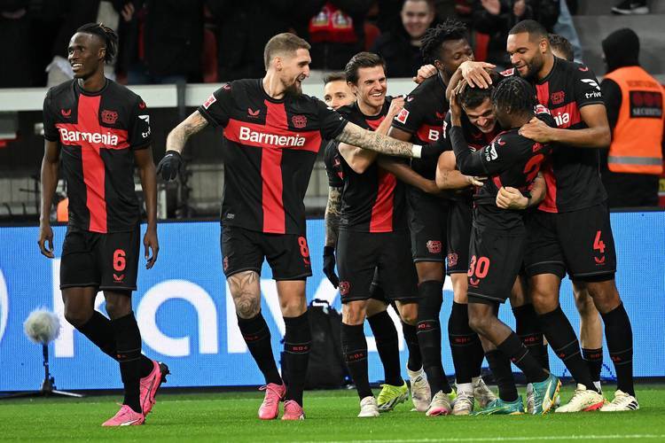 最后时刻法国国家队备战德国杯；战术微调细节流出；目标明确；临场指挥获称赞的简单介绍