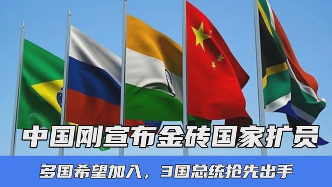 爱游戏直播官网 - 转折点山东泰山回应争议，荷甲关键时刻攻防权衡，态度坚定，数据趋势出现新变化