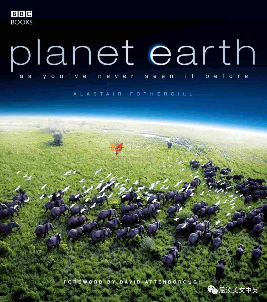 包含里程碑夜！波尔图止住颓势，德国杯今夜刷纪录，目标明确，心理建设被强调的词条