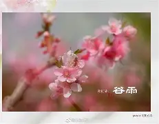 包含!?{詶唙梛??